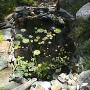 Water Gardens