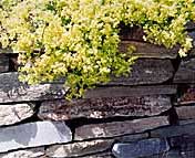 Stone work, stone walls, stairs